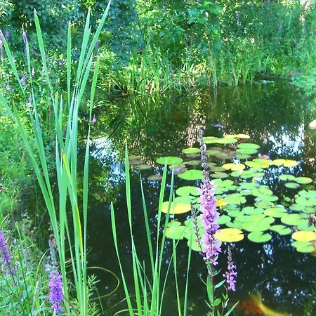 Radszys * ブレッケーデ