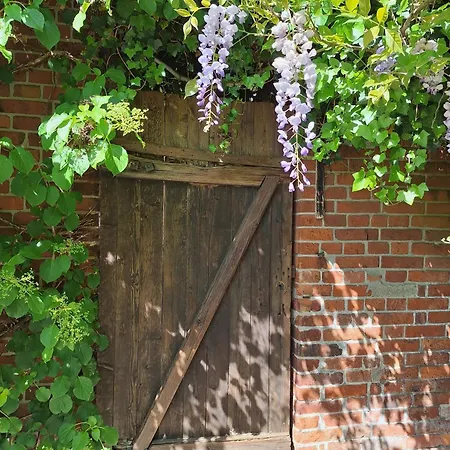 Apartament Radszys *