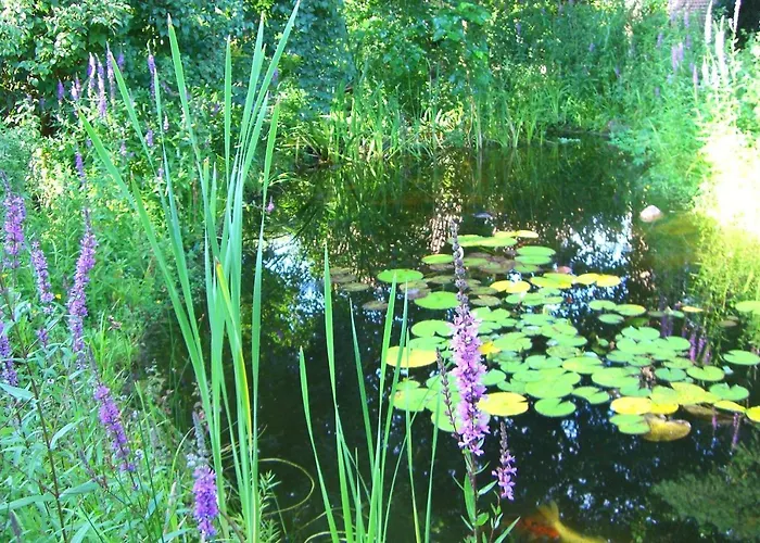 Radszys * 布莱克德