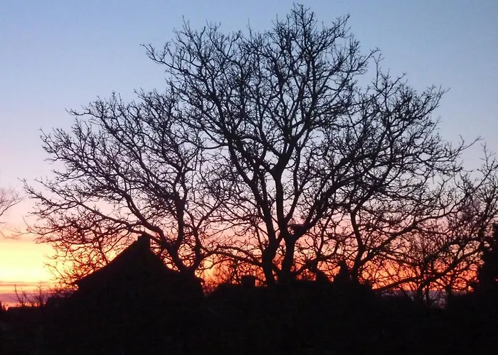 Radszys * 布莱克德