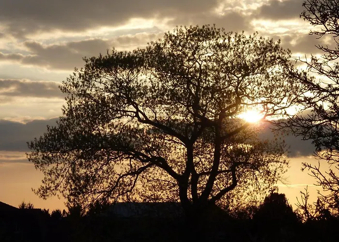 Radszys 布莱克德