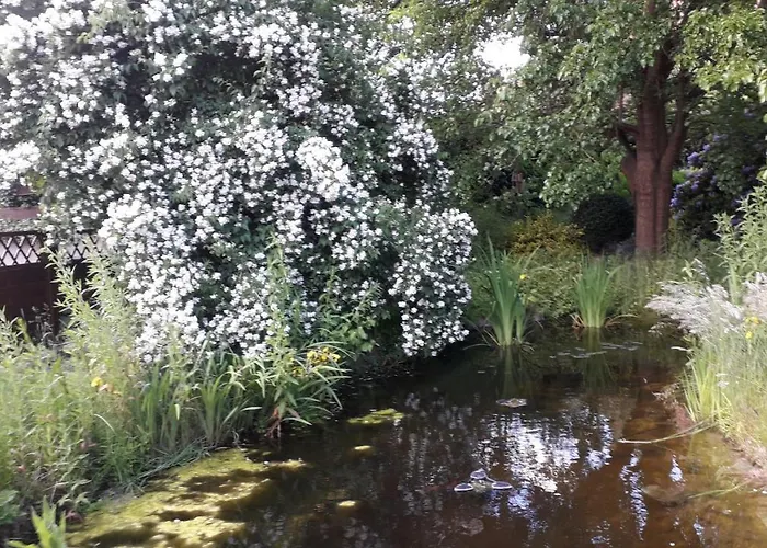 公寓 Radszys 布莱克德